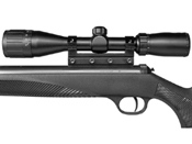 RWS 34 Panther Pro Model Compact Airgun Pellet Rifle
