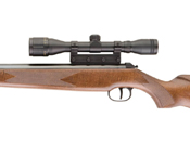 RWS Model 350 Magnum Combo Airgun Pellet Rifle with Scope