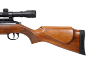 RWS Model 460 Magnum Combo Underlever Action Pellet Rifle with Scope