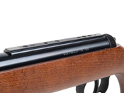 RWS 350 N-TEC Magnum Classic Pellet Rifle